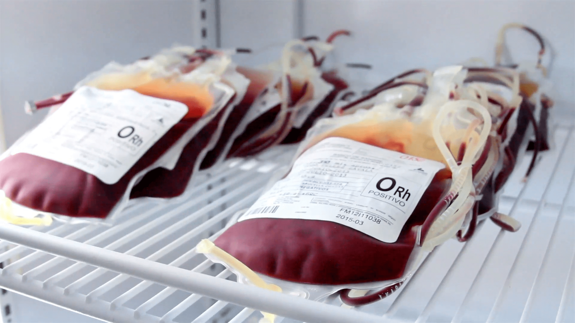 RDC 34 e o ciclo do sangue: saiba o que diz a Anvisa